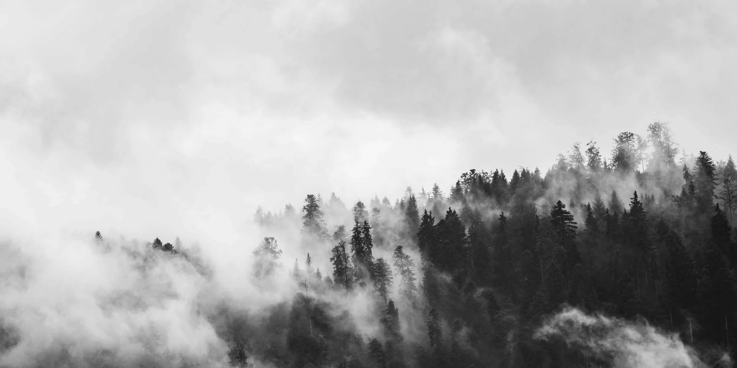 Cloud Gray Pty Ltd - Craft CMS development Brisbane